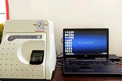 甘肃全景数字白光扫描