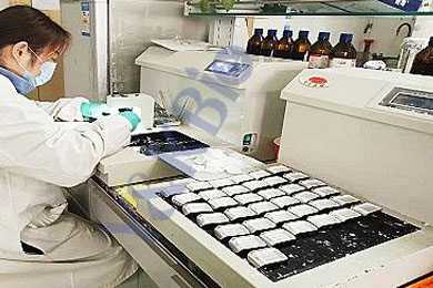 甘肃石蜡包埋服务