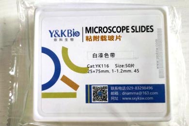 甘肃粘附载玻片