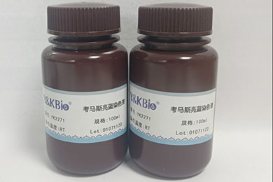 甘肃考马斯亮蓝脱色液