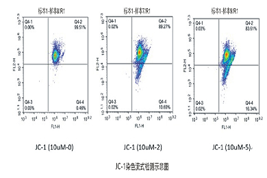 甘肃流式-JC-1