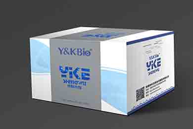 甘肃RIPA裂解液（强）