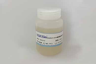 甘肃Western blot封闭液(含BSA)