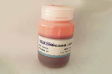 甘肃伊红染液（水溶性）