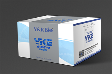 甘肃Masson-Fontana黑色素染色试剂盒