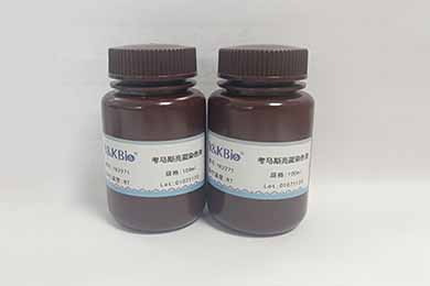 甘肃考马斯亮蓝染色液