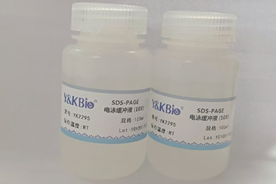 甘肃10×SDS-PAGE电泳缓冲液