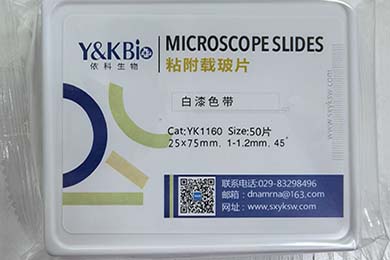 甘肃粘附载玻片